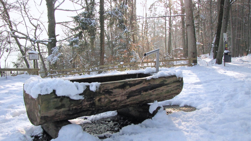 KOE_Wildpark im Winter 30.jpg