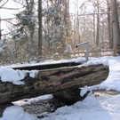 KOE_Wildpark im Winter 30.jpg