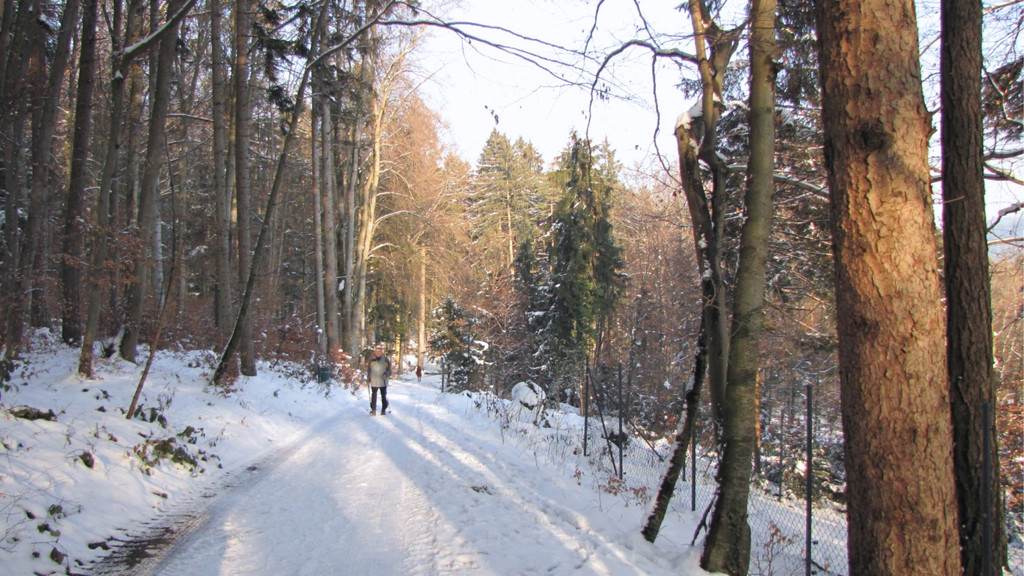 KOE_Wildpark im Winter 36.jpg