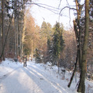 KOE_Wildpark im Winter 36.jpg