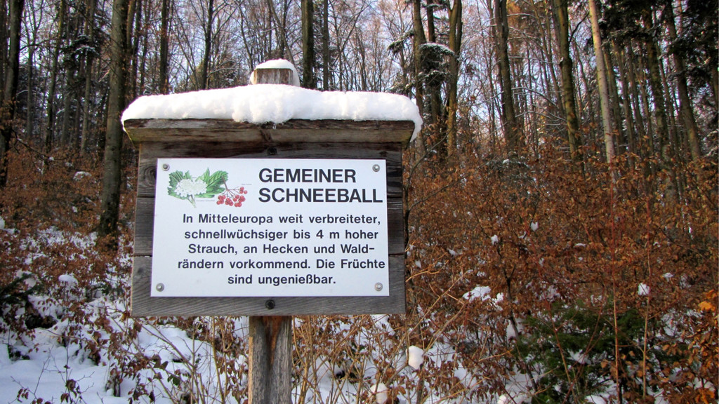 KOE_Wildpark im Winter 37.jpg