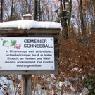 KOE_Wildpark im Winter 37.jpg
