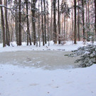 KOE_Wildpark im Winter 39.jpg