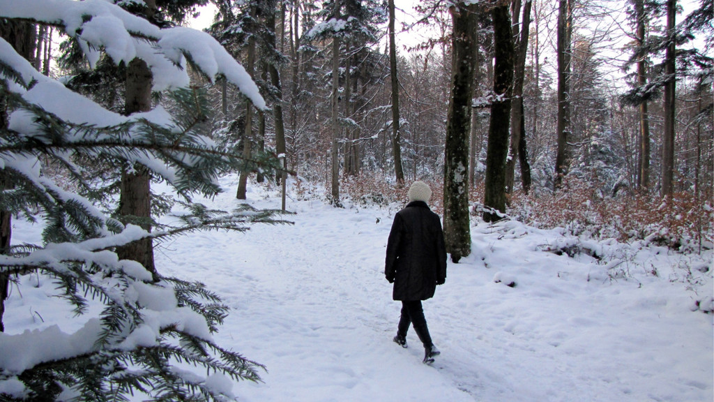 KOE_Wildpark im Winter 40.jpg