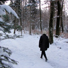KOE_Wildpark im Winter 40.jpg