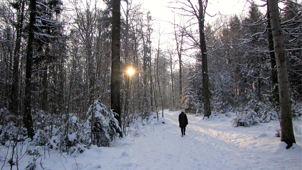 KOE_Wildpark im Winter 42.jpg