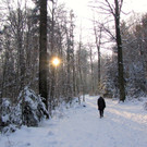 KOE_Wildpark im Winter 42.jpg