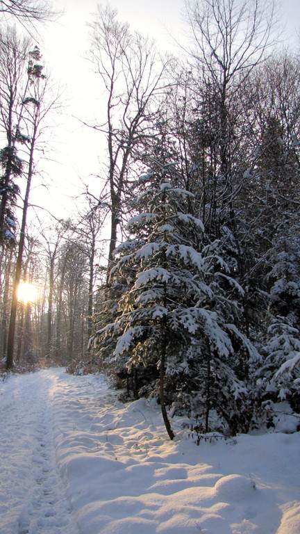 KOE_Wildpark im Winter 43.jpg