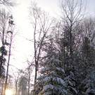 KOE_Wildpark im Winter 43.jpg