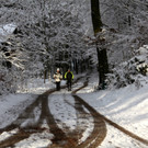 KOE_Wildpark im Winter 44.jpg