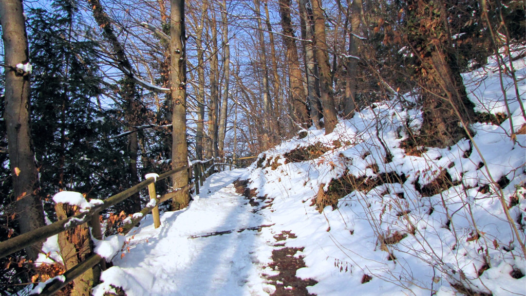 KOE_Wildpark im Winter 45.jpg