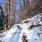 KOE_Wildpark im Winter 45.jpg