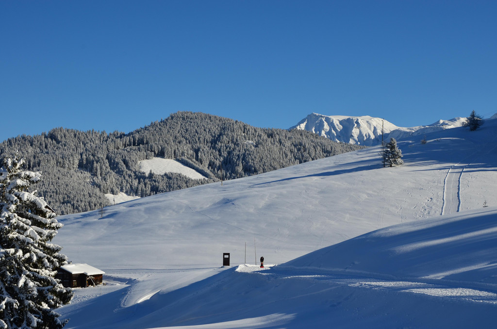 DSC_0044.JPG