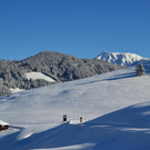 DSC_0044.JPG