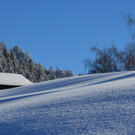 furx 1801_36.jpg