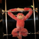 144-IMG_7273.JPG