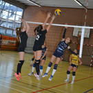 DSC_1917.jpg