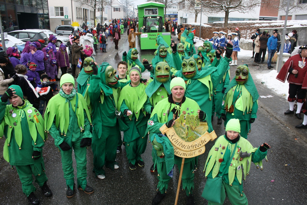 Fasching UMZUG Impressionen 2015 _23_.JPG