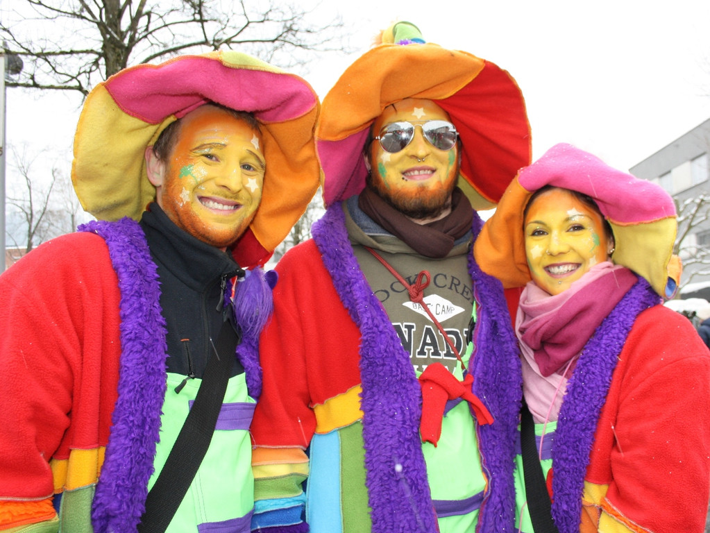 Fasching UMZUG Impressionen 2015 _27_.JPG