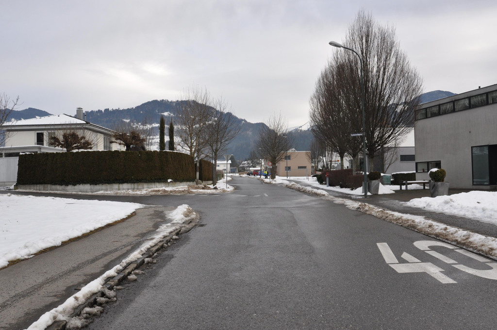 DSC_0013.JPG