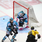 Capitals vs. Linz