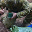 100564504.jpg