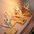 Die Awards wurden kreiert von Ewald Hotz.JPG