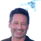 David Duchovny bekommt Stern am "Walk of Fame"
