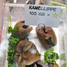 100564889.jpg