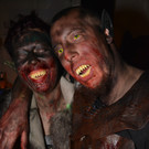 DSC_8784.jpg