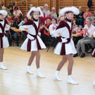 27_1_2016-Seniorentanzgro__dorf68.jpg