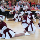 27_1_2016-Seniorentanzgro__dorf73.jpg