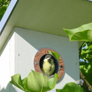 2 _ B__hler Yvonne.JPG