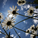 5 _ S__ly Patrick 1.JPG