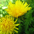 4 _ Sablatnig Johanna 5.JPG