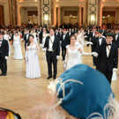 Akademikerball 2016 in Wien