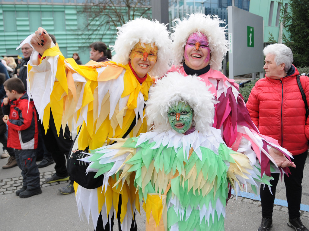 Fasching Hard 30-01-2016 2.jpg