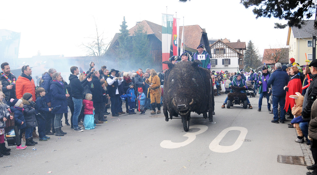 Fasching Hard 30-01-2016 132.jpg