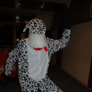 DSC_0036_JPG-1454226005.jpg