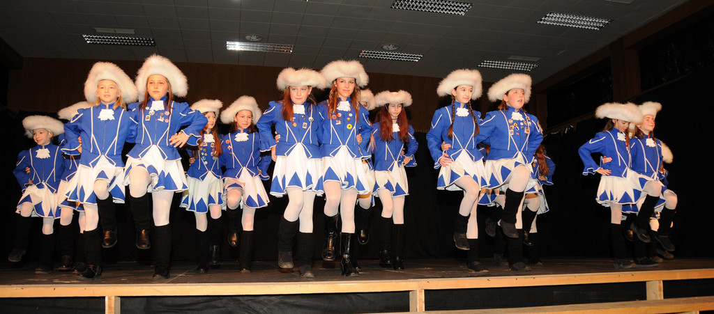 Seniorenzunftball 31-01-2016 5.jpg
