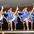 Seniorenzunftball 31-01-2016 82.jpg