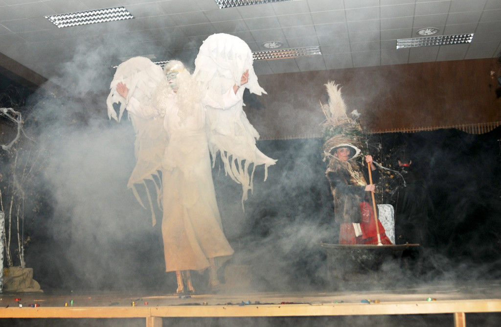 Seniorenzunftball 31-01-2016 2214.jpg