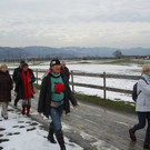 IMG_4089.jpg