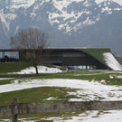 IMG_4090.jpg