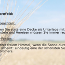 Sexgruende60.jpg