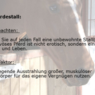 Sexgruende84.jpg