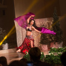 Schneeko_____niginwahl_2016_Oriental_Dance_HKR_9401.jpg