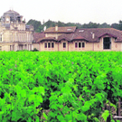 chateau_apicarch_94981923.jpg