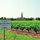 Valeyrac_Reben_rbvn_585871976.jpg