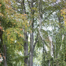csm_Unbenannt-20_b01e964959.jpg
